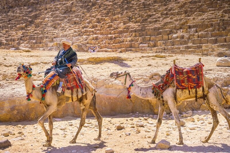 people traveling at camel in giza