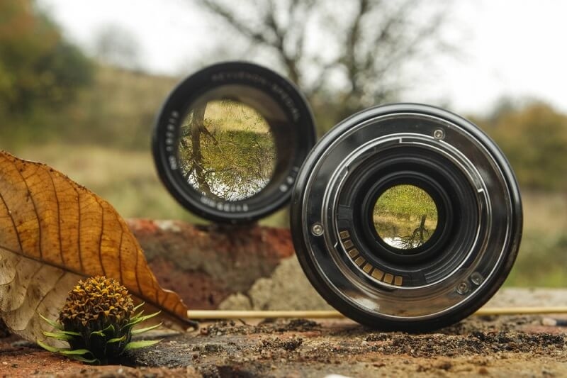 camera lenses for wildlife photography