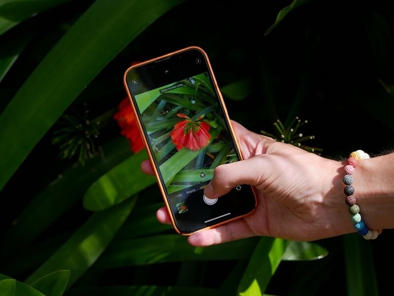 man clicking flower pictures by smartphone