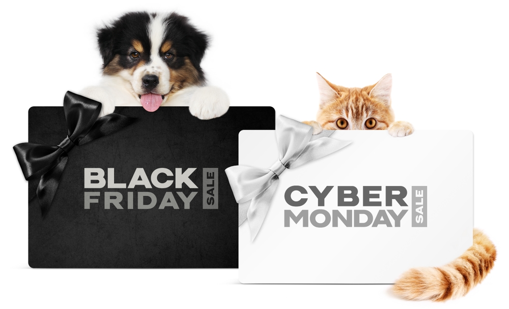 Cyber Monday vs Black Friday