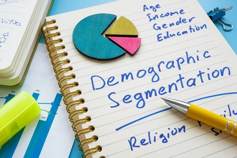demographic segmentation report 