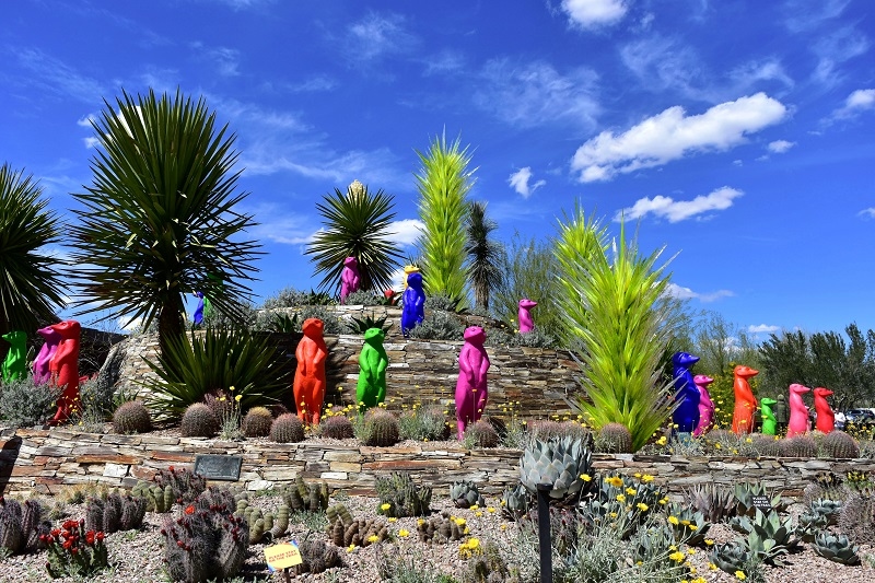 A beautiful desert landscape and artwork at the entrance to the Desert Botanical Gardens under a deep blue sky.