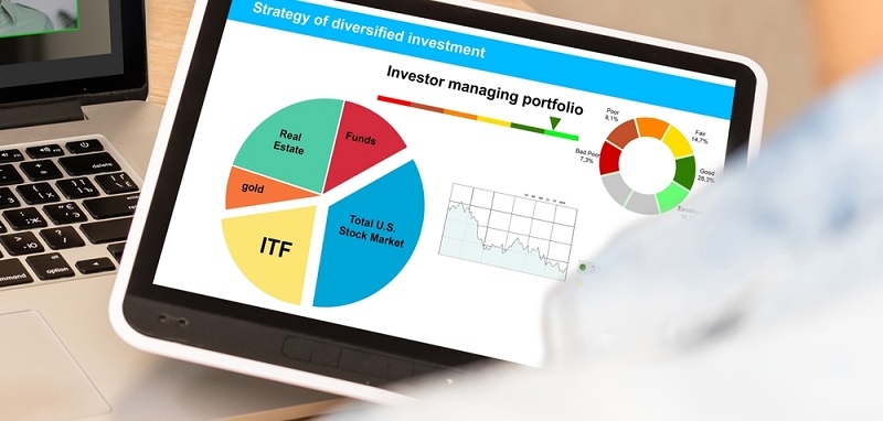 strategy of diversified investment portfolio chart