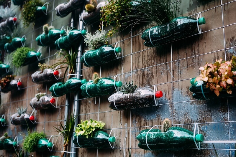 diy old bottles into plants
