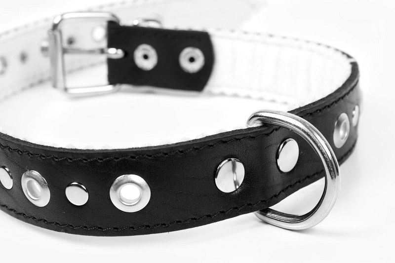 Waterproof AirTag dog collar case