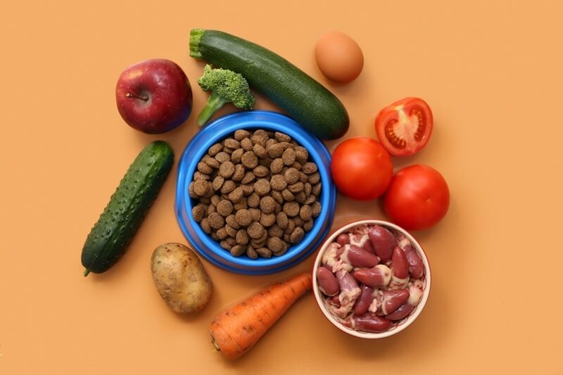 pet obesity prevention food