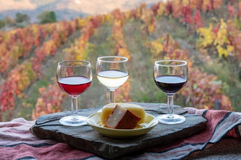 duoro valley different flavors of wine