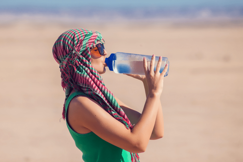 Food, Water, And Energy egypt