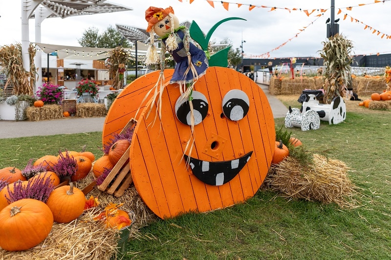This is a great image for the fall season, decoration for a party or event