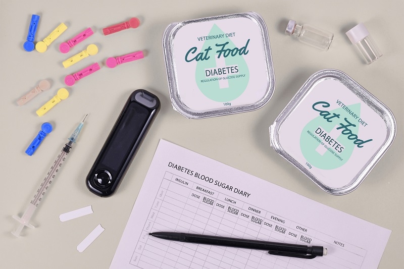 Feline Diabetes Symptom Monitoring