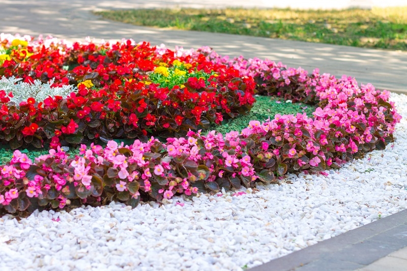 Colorful Flower Bed Designs 