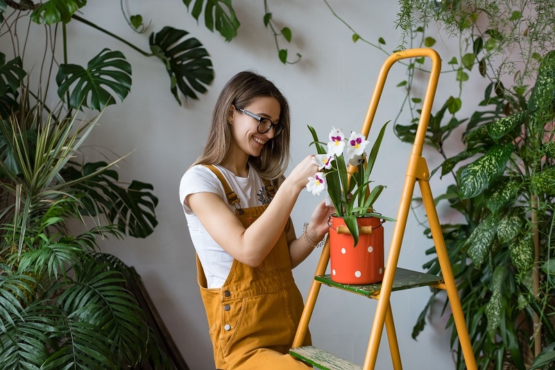 Caring for Cut Flowers Indoors