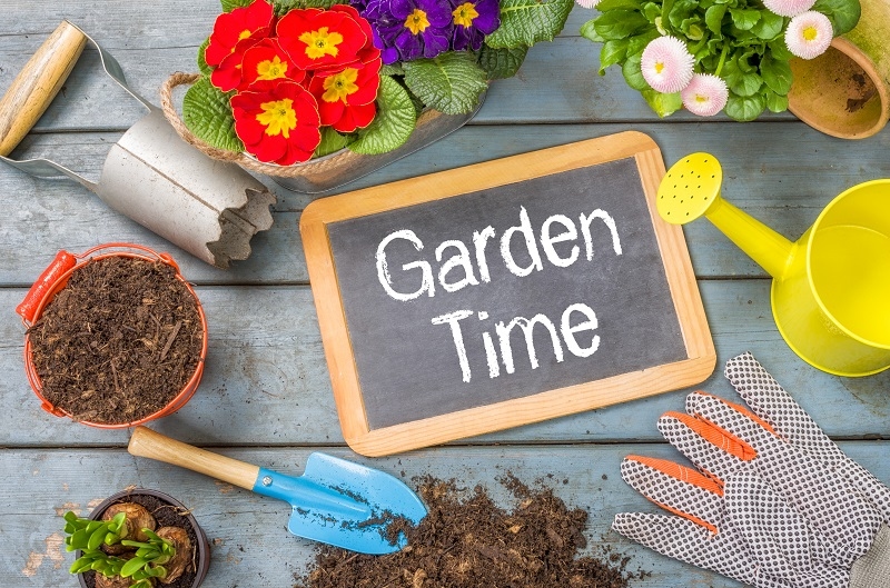 home flower gardening tips 