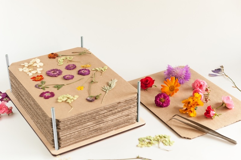flower-pressing