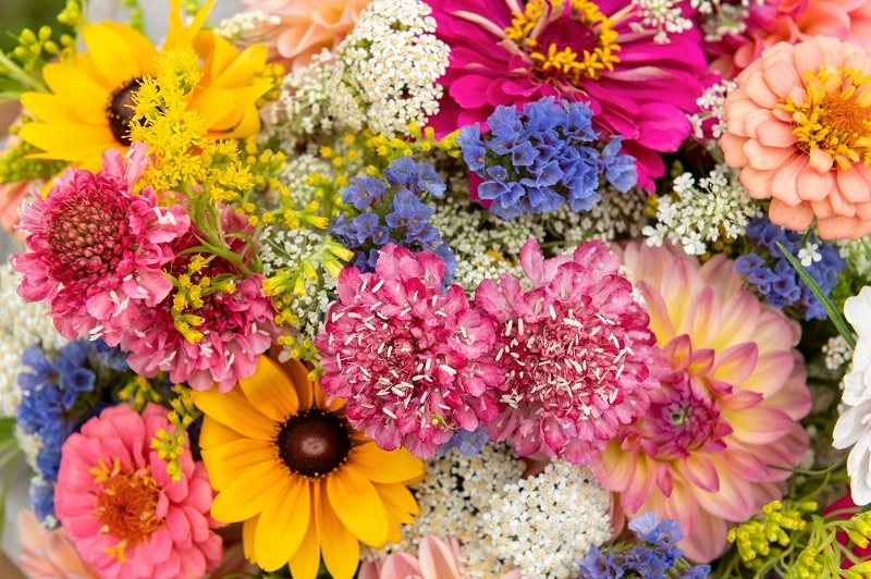Exotic Plants for Bouquets