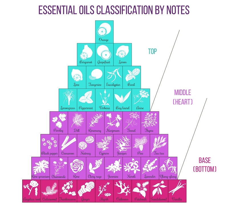 Asset id: 580653214  Aromatherapy and essential oils classification infographics