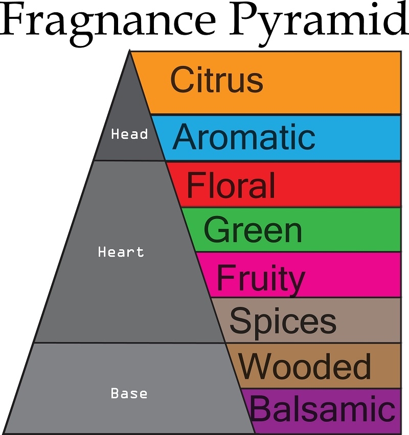 perfume pyramid notes