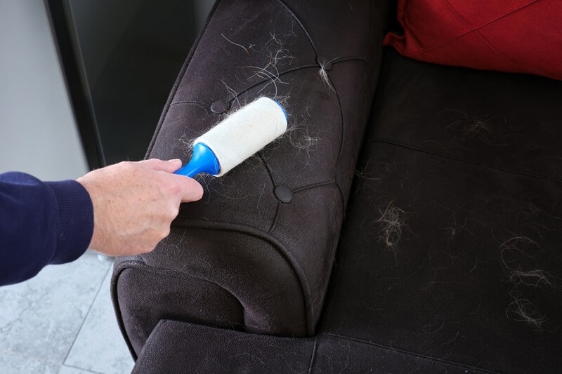 woman cleaning ruffs from sofa set