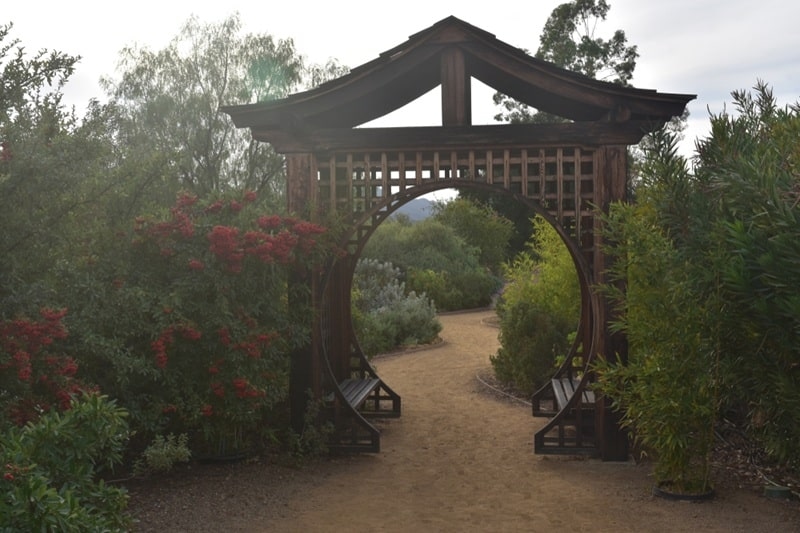 healing garden design