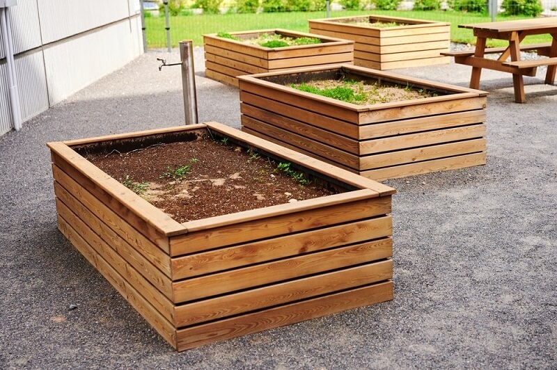 rectangle shaped garden beds