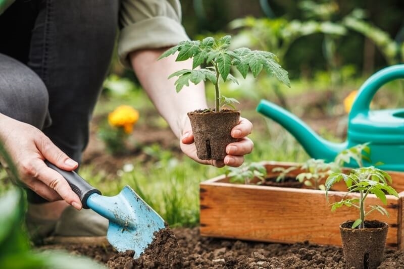 best-gardening-tips