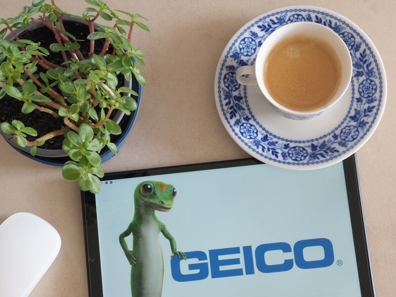geico-car-insurance-provider
