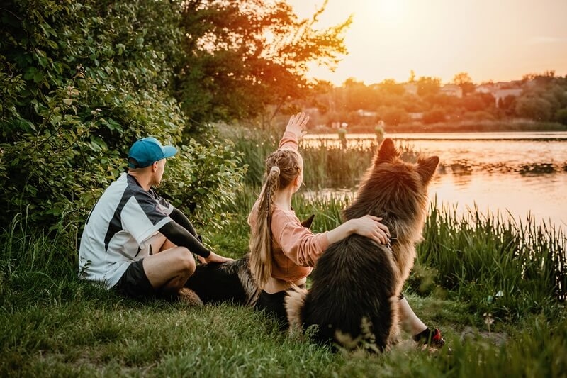 german shepherd sitting actively with family on trip