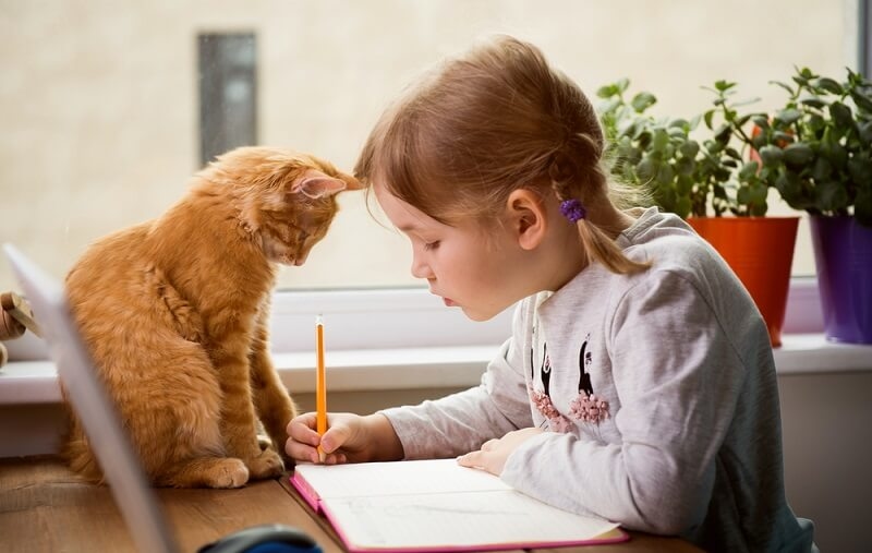 girl studying on study table and cat is also sitting on study table