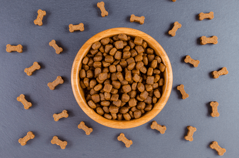 How To Choose Grain-Free Dog Food Wisely