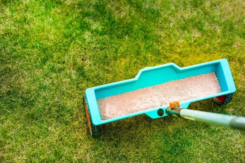 lawn fertilization guide
