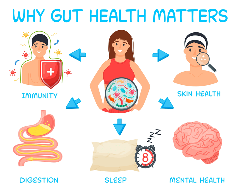gut health importance