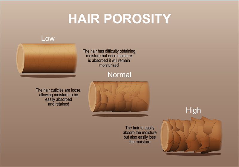 low-porosity care, high-porosity tips, porosity routine, hair moisture retention, porosity-friendly products