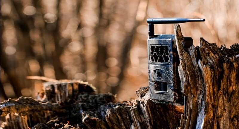 How to Find Hidden Bug and Camera Detectors to Stay Secure?