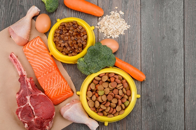 High Protein Guide