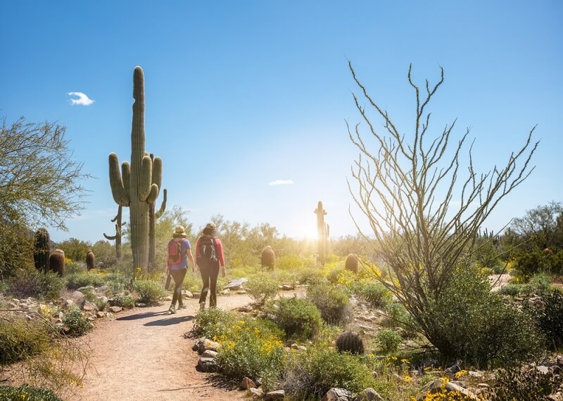 hikers at the phoenix hiking trails