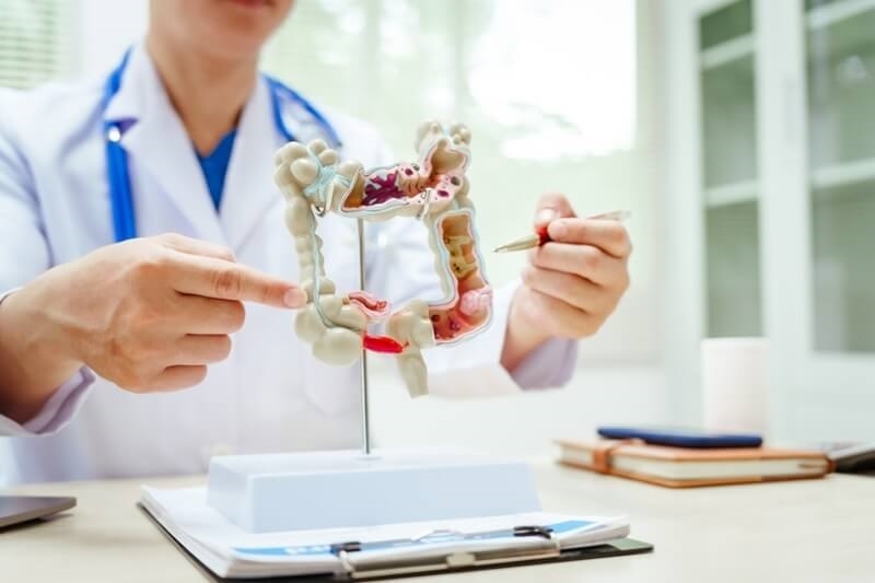 doctor-explain-how-digestion-actually-works