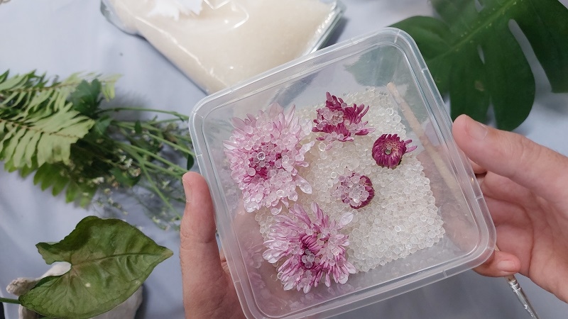 Pressed Flowers DIY