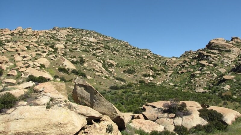 hummingbird-trail-simi-valley