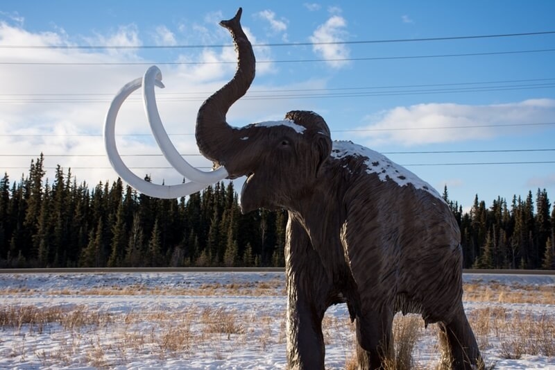 ice-age-fossils-state-park-las-vegas