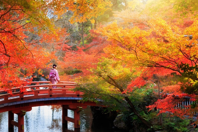Kyoto, Japan