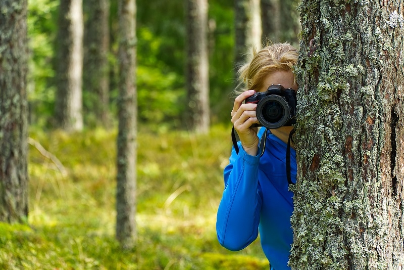 landscape photography 