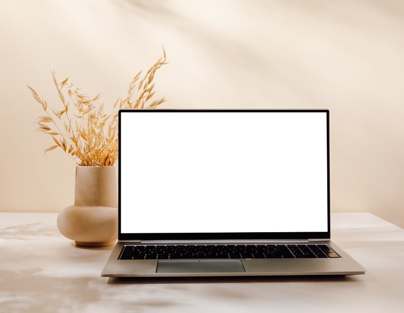 Laptop with white screen