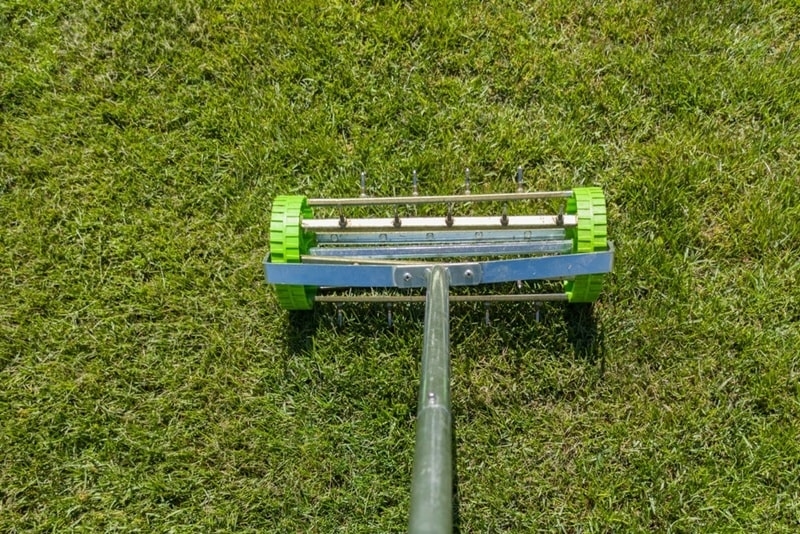 lawn aeration benefits