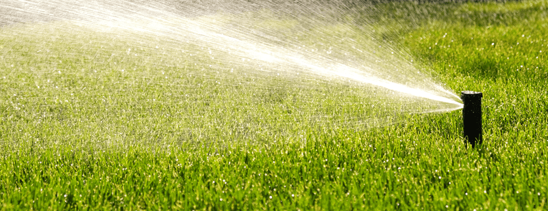 patchy lawn, bare spots grass, lawn restoration, grass regrowth, damaged lawn