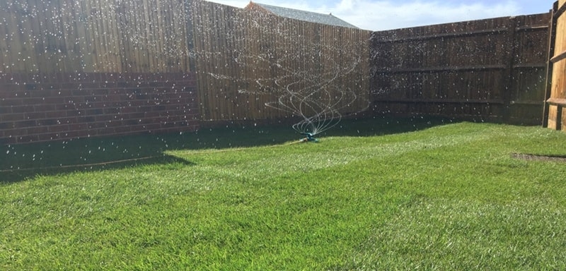 lawn watering schedule