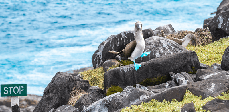 marine wildlife watching, coastal animal encounters, whale watching trips, dolphin tours, sea life excursions