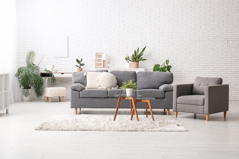 Interior of light living room with grey sofa, plants and shelf units