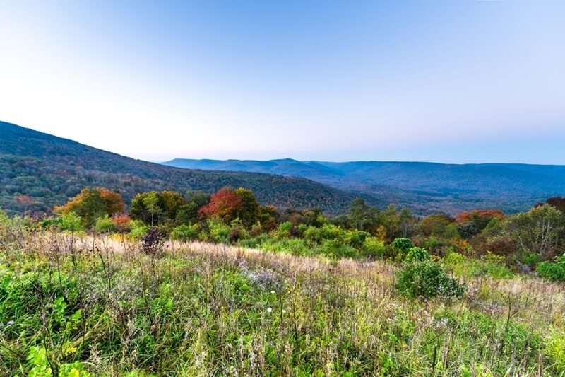 monongahela-overlook