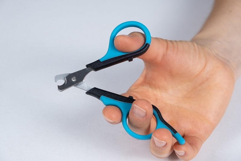 man holding nail clipper