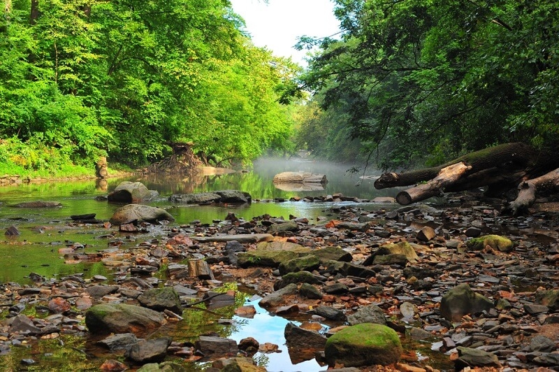 view of Wissahickon Valley Park